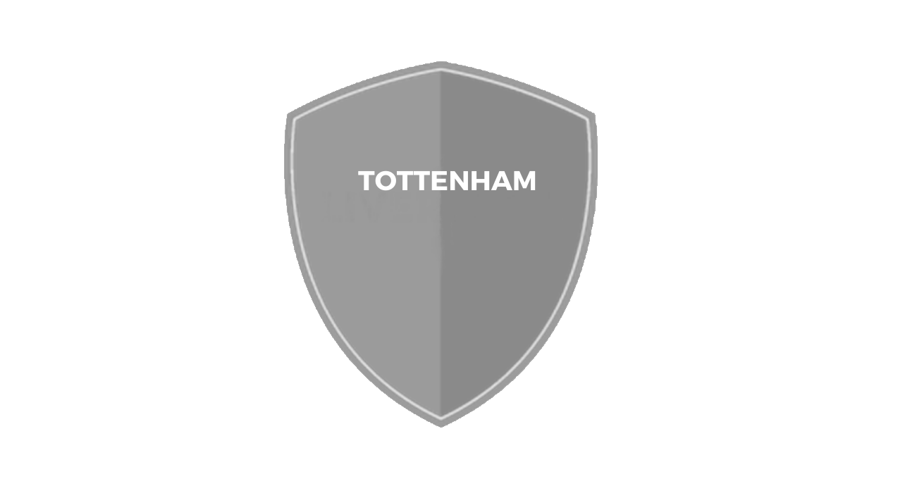 TOTTENHAM LOGO USE