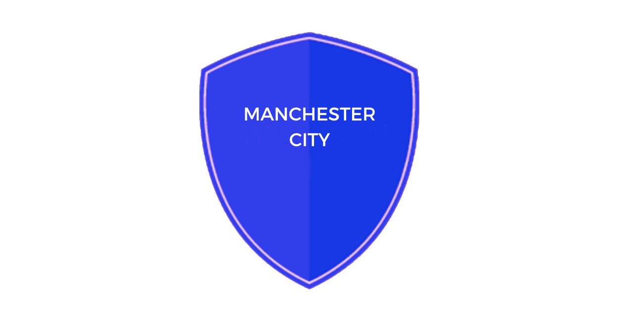 MANCHESTER CITY LOGO USE